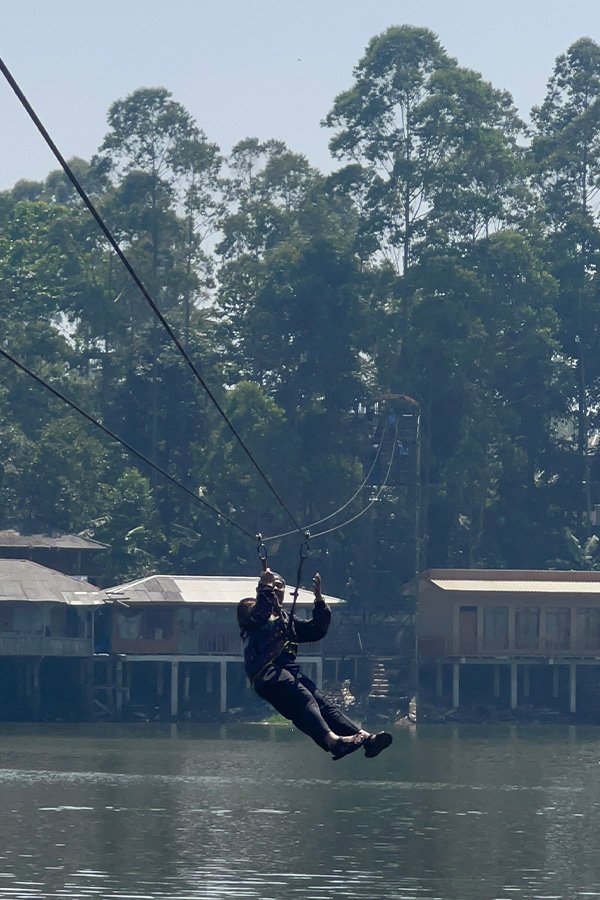 Flying Fox