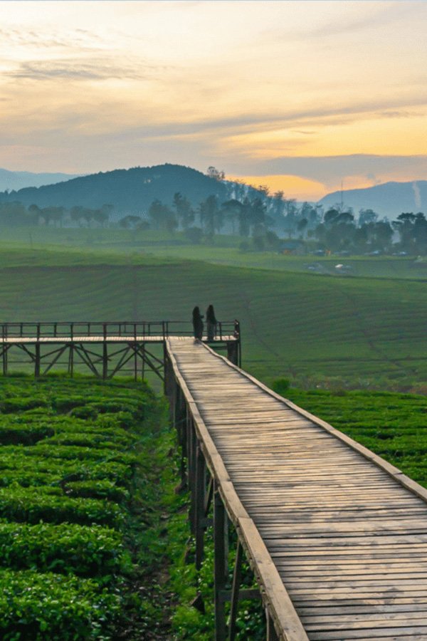 Tour Wisata Pangalengan